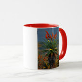 Bergaalwyn (Aloe Marlothii Berger) 2 Mok (Voorkant rechts)