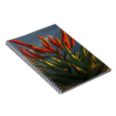 Bergaalwyn (Aloe Marlothii Berger) Notitieboek (Rechterzijde)