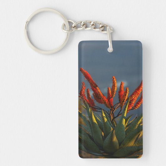 Bergaalwyn (Aloe Marlothii Berger) Sleutelhanger (Voorkant)