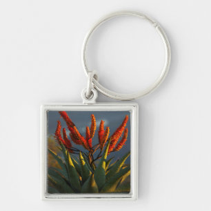 Bergaalwyn (Aloe Marlothii Berger) Sleutelhanger