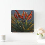 Bergaalwyn (Aloe Marlothii Berger) Vierkante Klok (Huis)