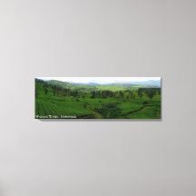 Bergachtig Theeplantage Landschapsfoto