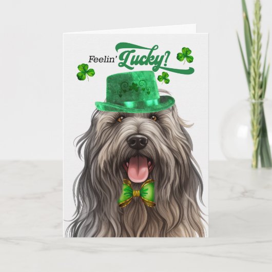 Bergamasco Dog Lucky St Patrick's Day Feestdagen Kaart (Voorkant)