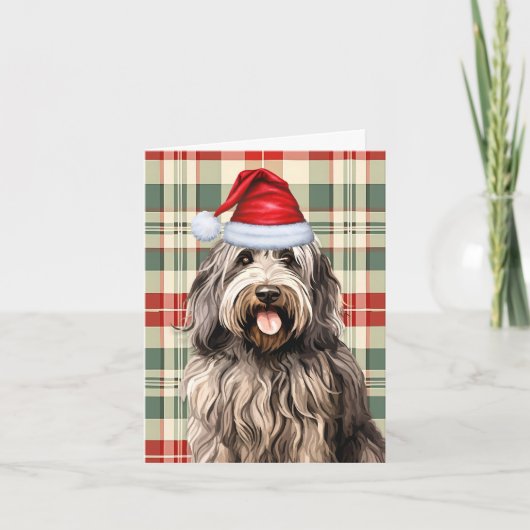 Bergamasco Kerst Hond Vakantie Plaid Feestdagen Kaart (Voorkant)