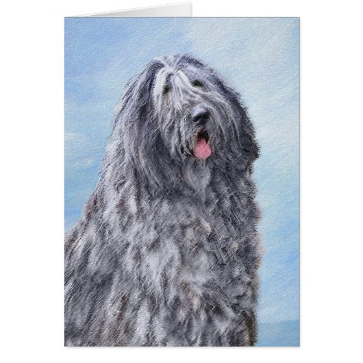 Bergamasco Sheepdog Painting - Cute Original Dog A (Voorkant)