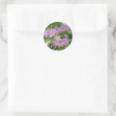 Bergamont Bee Balm Sticker (Tas)