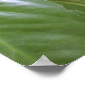 Bergappels II Poster (Hoek)