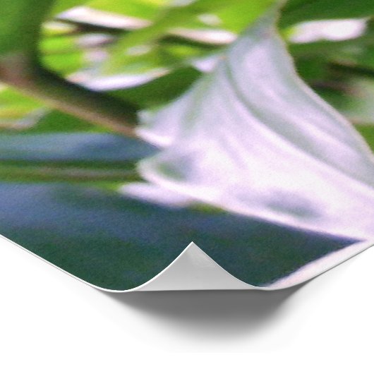 Bergappels Poster (Hoek)