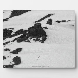 Bergbeklimmers Fotoplaat