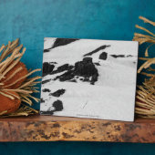 Bergbeklimmers Fotoplaat (Zijkant)