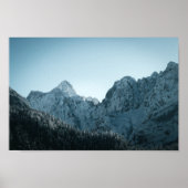 Bergbergen en sparserbos poster (Voorkant)