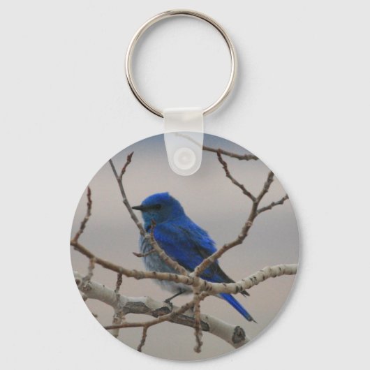 Bergblauw Sleutelhanger (Voorkant)