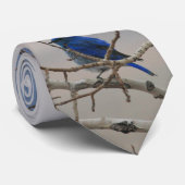 Bergblauw Stropdas (Opgerold)