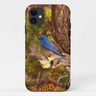 Bergblauwe Rietzanger in Arches National Park Case-Mate iPhone Case