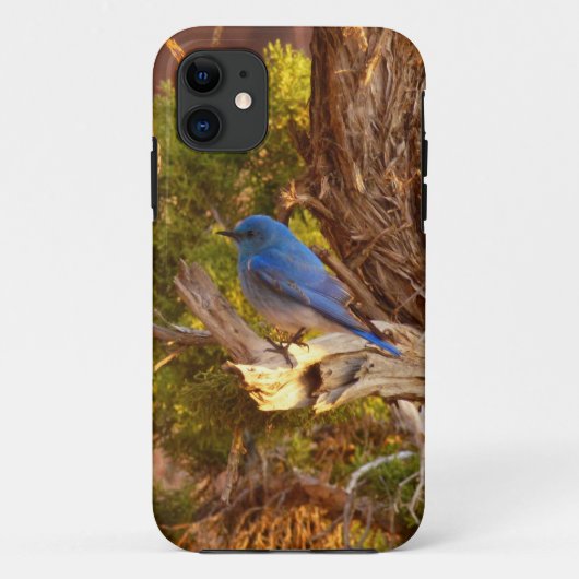 Bergblauwe Rietzanger in Arches National Park Case-Mate iPhone Case (Achterkant)