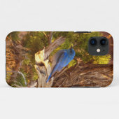 Bergblauwe Rietzanger in Arches National Park Case-Mate iPhone Case (Achterkant (horizontaal))