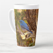 Bergblauwe Rietzanger in Arches National Park Latte Mok (Linkerhoek)