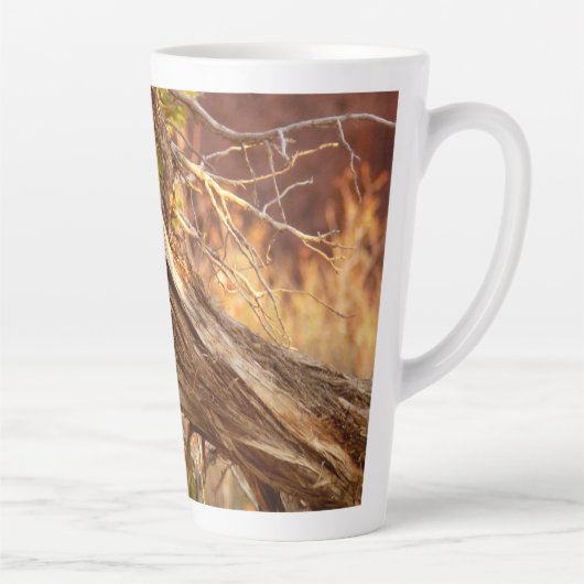 Bergblauwe Rietzanger in Arches National Park Latte Mok (Rechts)