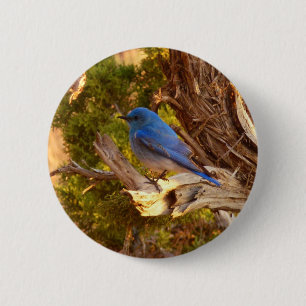 Bergblauwe Rietzanger in Arches National Park Ronde Button 5,7 Cm