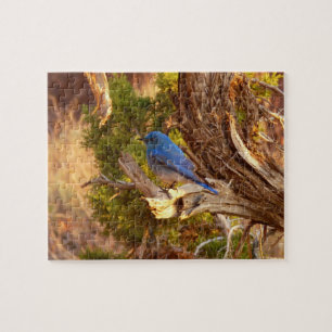 Bergblauwe Roodborstlijster in Arches National Par Legpuzzel