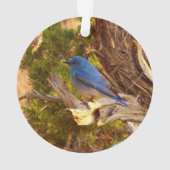 Bergblauwe Roodborstlijster in Arches National Par Ornament (achterkant)