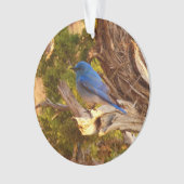 Bergblauwe Roodborstlijster in Arches National Par Ornament (voorkant)