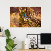 Bergblauwe Zanger in Arches National Park Poster (Thuiskantoor)