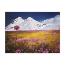 BERGBLOEMEN VELDBLOEMEN LANDSCHAP POSTCROSSING