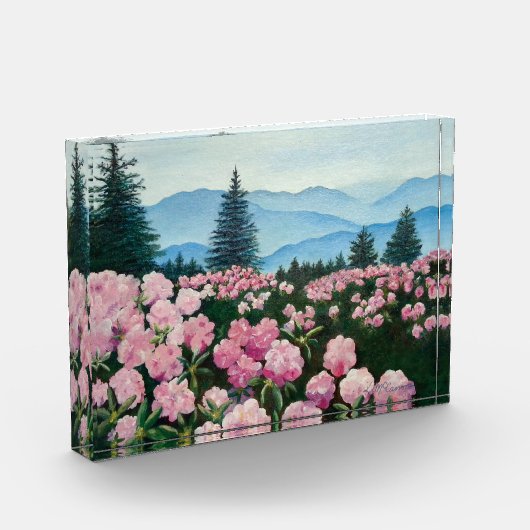 Bergbloemolie Spinend landschap Afdrukken Fotoblokken (Links)