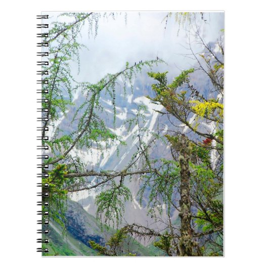 bergbomen, natuur, boslandschap notitieboek (Voorkant)