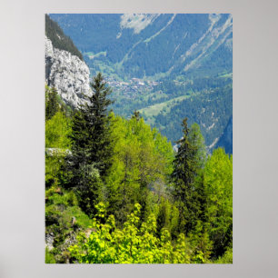 Bergbos in de Zwitserse alpen Poster