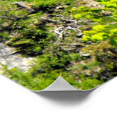 Bergbos in de Zwitserse alpen Poster (Hoek)