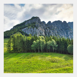 Bergbos met pijnbomen in Noord-Italië