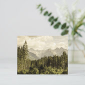 bergboslandschap briefkaart (Staand voorkant)