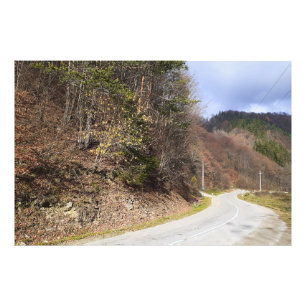 Bergbosweg - Wilde Natuur Roemenië Foto Afdruk