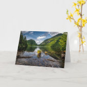 Bergen | Adirondack High Peaks, New York Kaart (Gele Bloem)