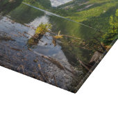 Bergen | Adirondack High Peaks, New York Snijplank (Hoek)