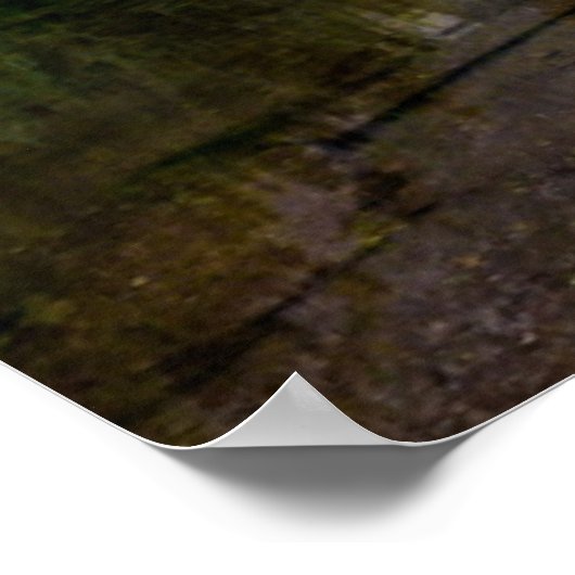 Bergen | Aspen Colorado Poster (Hoek)