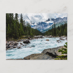 Bergen   Banff National Park Alberta, Canada Briefkaart