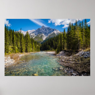 Bergen   Banff National Park, Canadian Rockies Poster