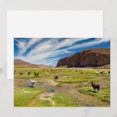 Bergen | Boliviaanse Andes Bedankkaart (Voorkant / Achterkant)