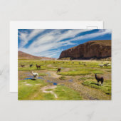 Bergen | Boliviaanse Andes Briefkaart (Voorkant / Achterkant)