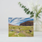 Bergen | Boliviaanse Andes Briefkaart (Staand voorkant)