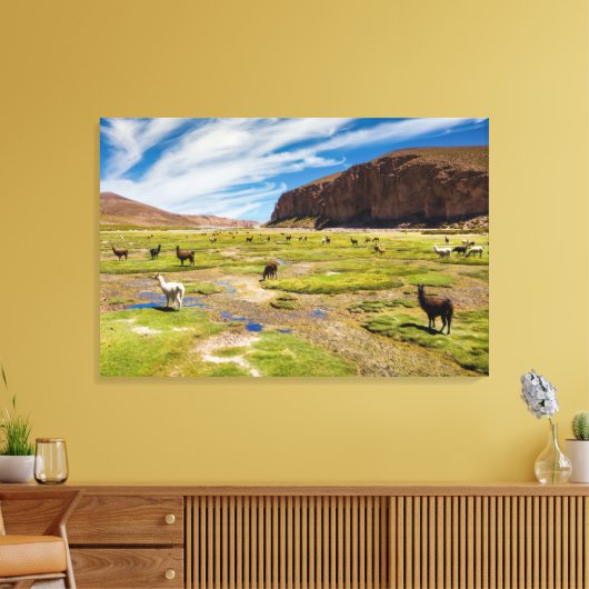 Bergen | Boliviaanse Andes Canvas Afdruk (Insitu (Woonkamer))