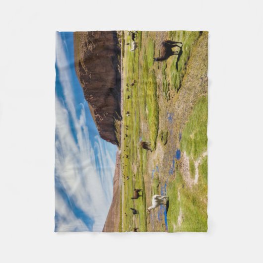 Bergen | Boliviaanse Andes Fleece Deken (Voorkant)