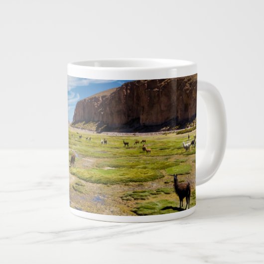 Bergen | Boliviaanse Andes Grote Koffiekop (Voorkant rechts)