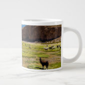 Bergen | Boliviaanse Andes Grote Koffiekop (Rechts)