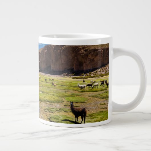 Bergen | Boliviaanse Andes Grote Koffiekop (Rechts)