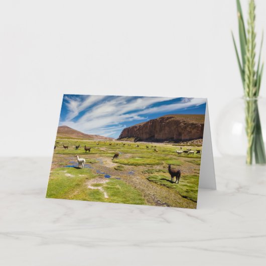 Bergen | Boliviaanse Andes Kaart (Voorkant)