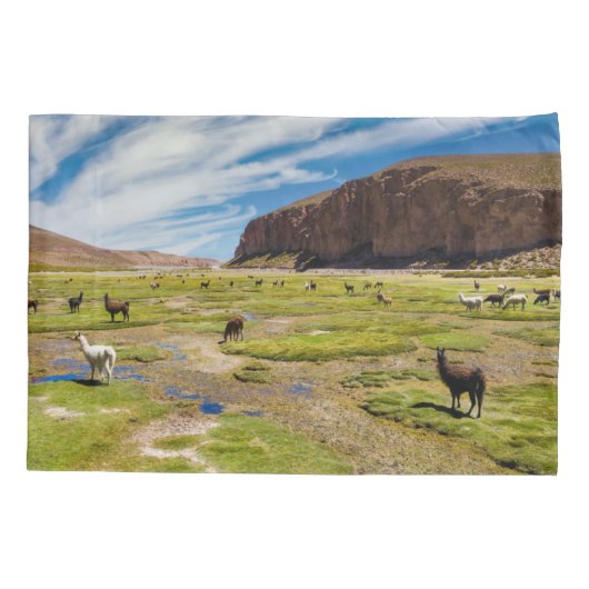 Bergen | Boliviaanse Andes Kussensloop (Achterkant)